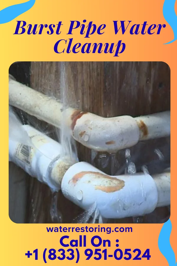Burst Pipe Water Cleanup in Lakewood, NY