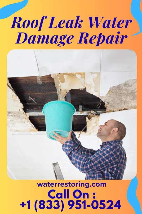 Roof Leak Water Damage Repair in Lakewood, NY