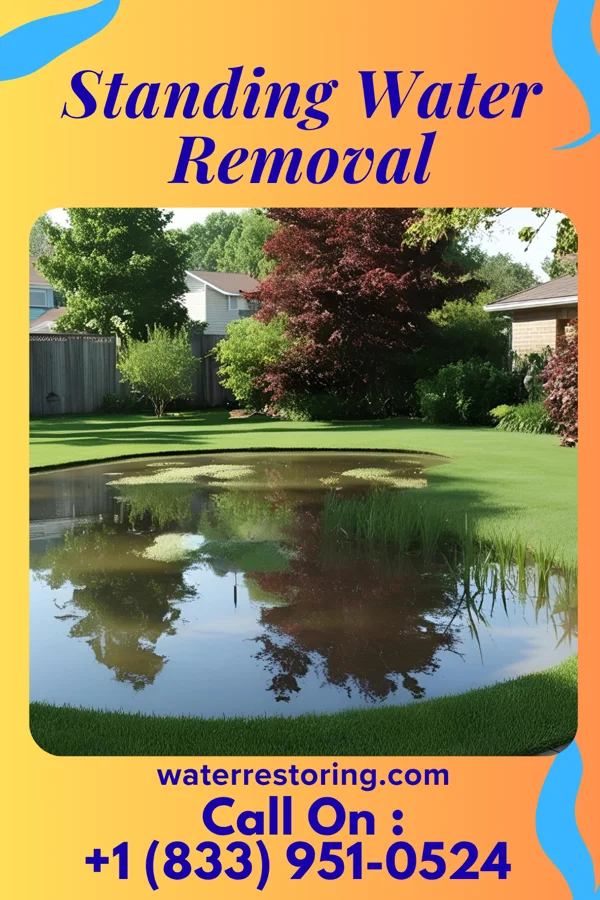 Standing Water Removal in Lakewood, NY